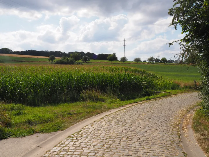 Kwaremont (Belgium)